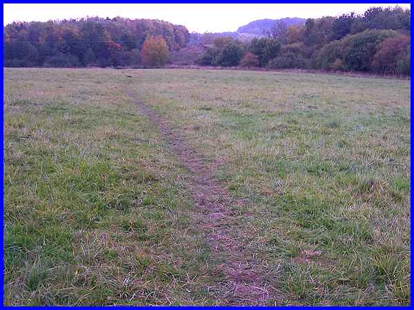 Field Path