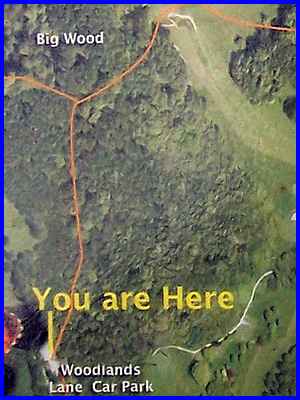 "You Are Here"