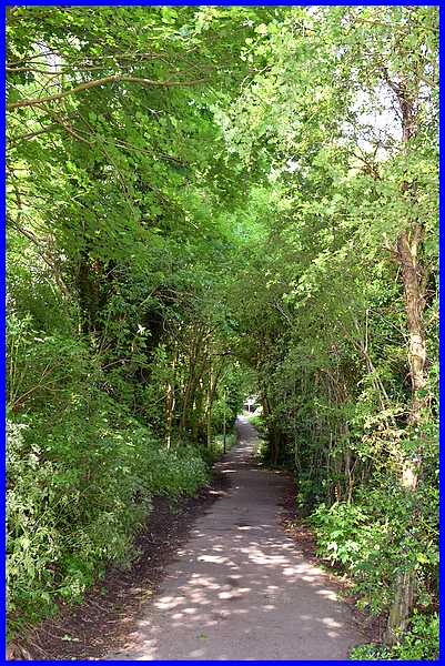 Tunnel-like