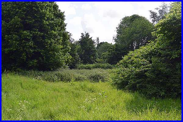 Former Orchard