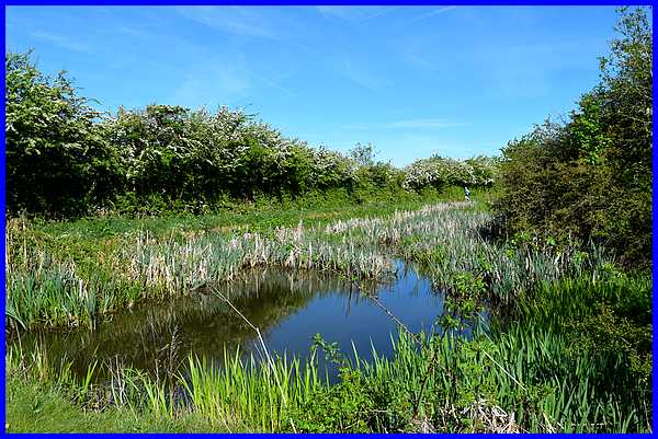 Nottingham Canal