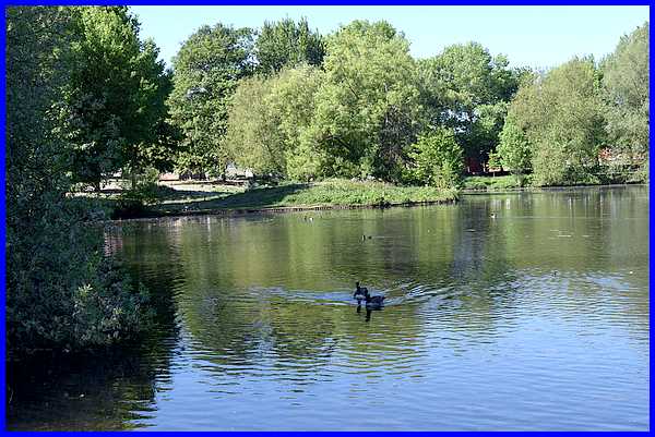 The Lake