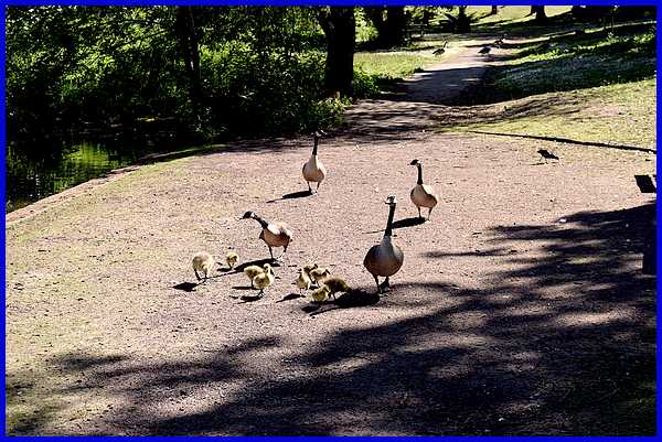 Family Outing?
