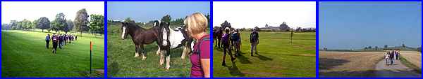 Erewash Valley GC, Horses, Maywood GC, Risley Lodge Farm