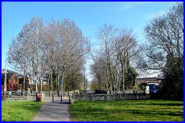 Crossing Ebenezer Street