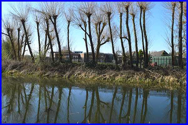 Bennerley Fields School