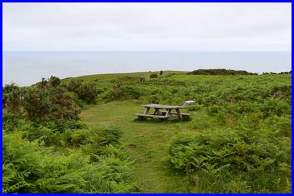 Picnic Area