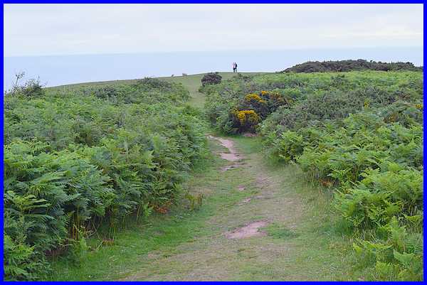 Headland