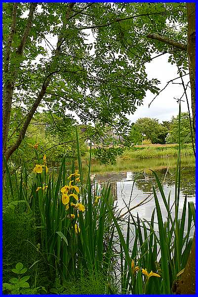Ireton Pond