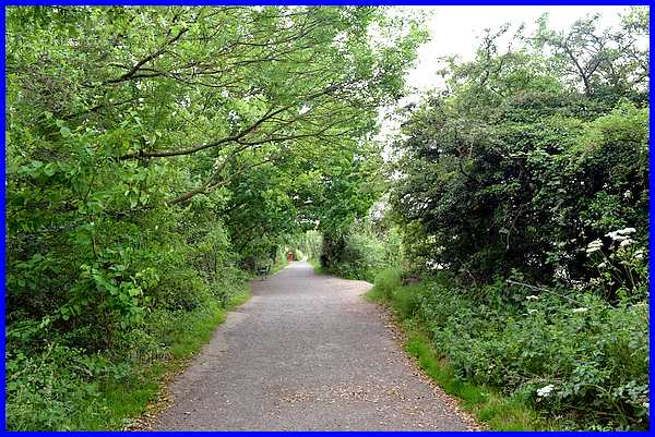 Church Path