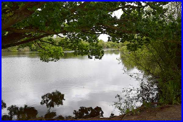 Tween Pond