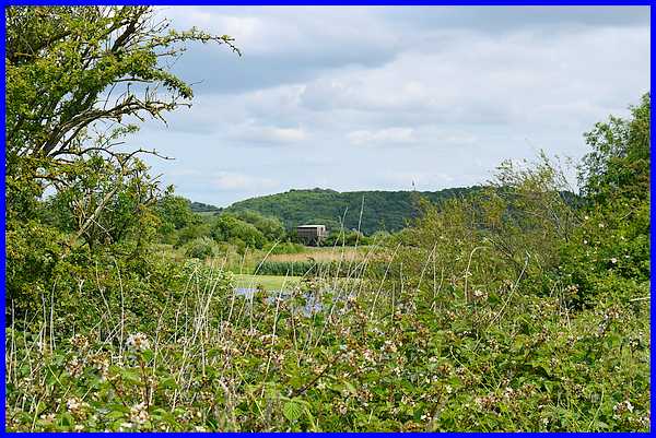 Tower Hide