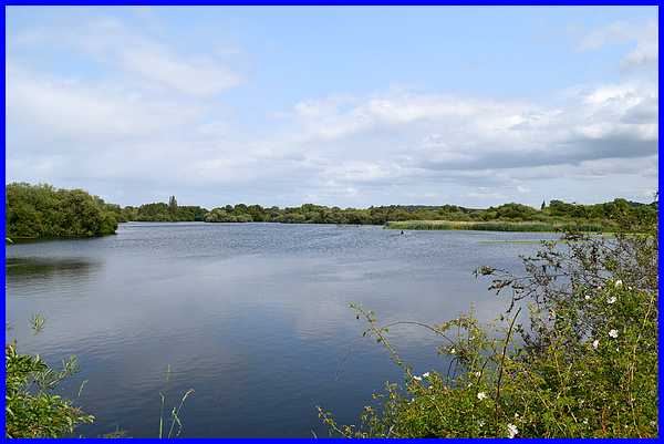 Tween Pond