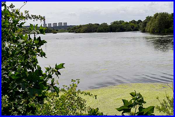 Coneries Pond