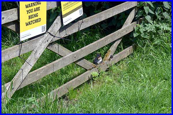 Being Watched