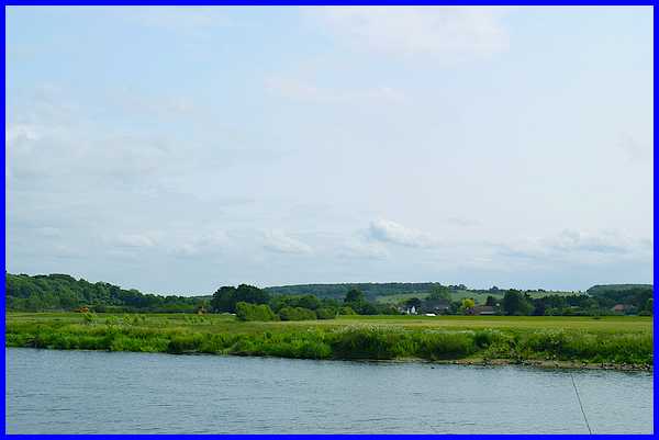 Open Fields