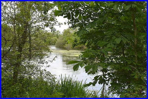 Main Pond