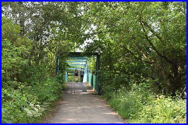Bridge