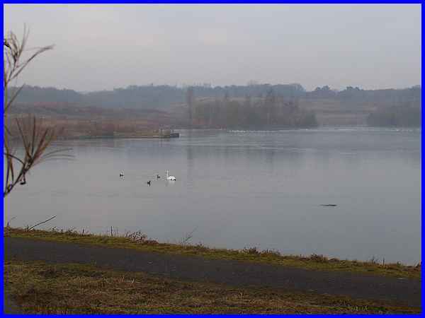 Shipley Lake