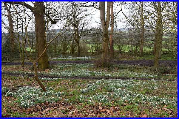 Opposite The Gardens