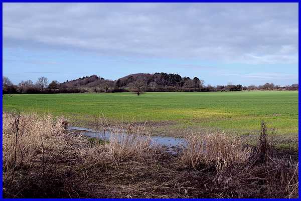 Green and Waterlogged