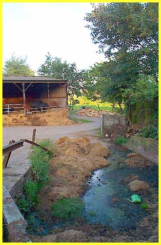 The Moat