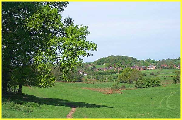 A Tranquil Scene At Dale