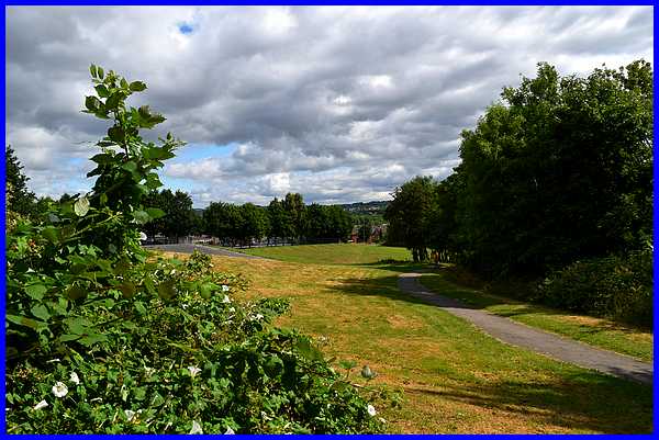 Playing Fields
