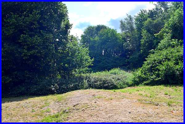 Former Orchard
