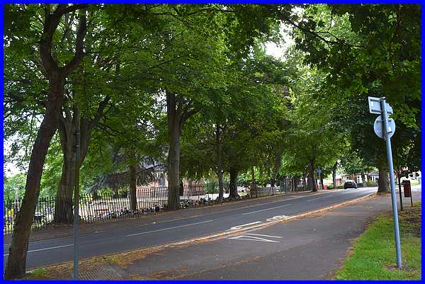 Cantelupe Road
