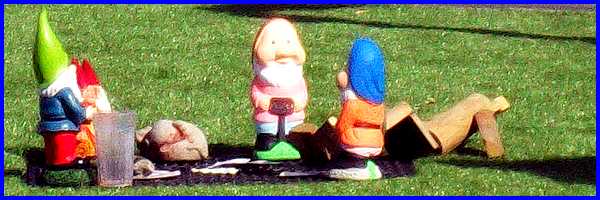 Gnomes