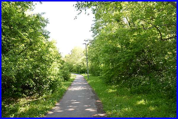 Footpath