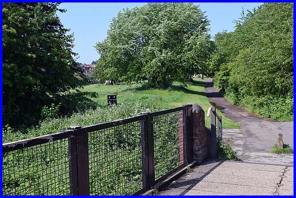 Wash Meadow