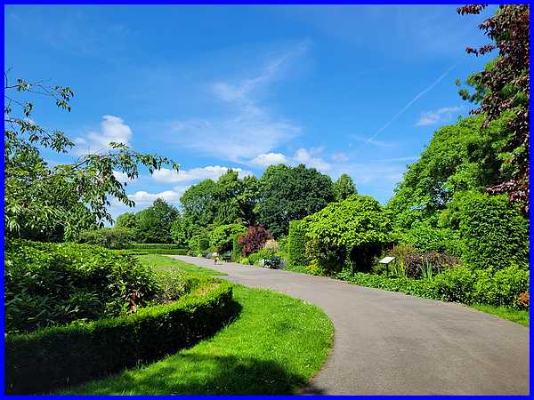 Long Border