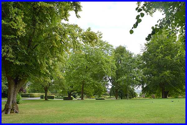 Trees