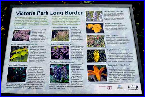 Long Border Panel
