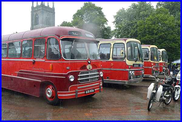 Buses