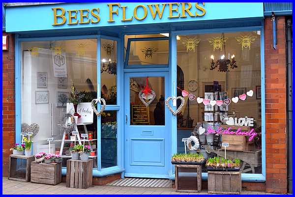 Bees Flowers