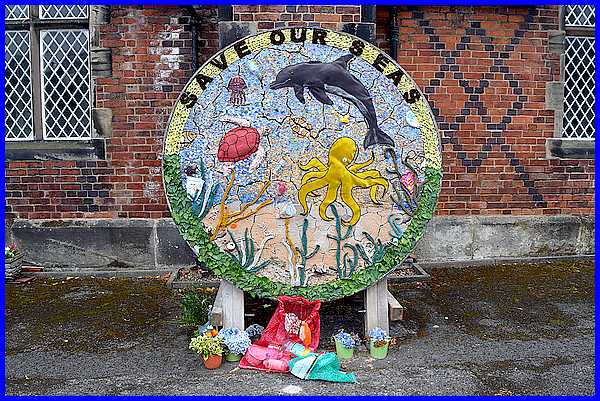 Save Our Seas